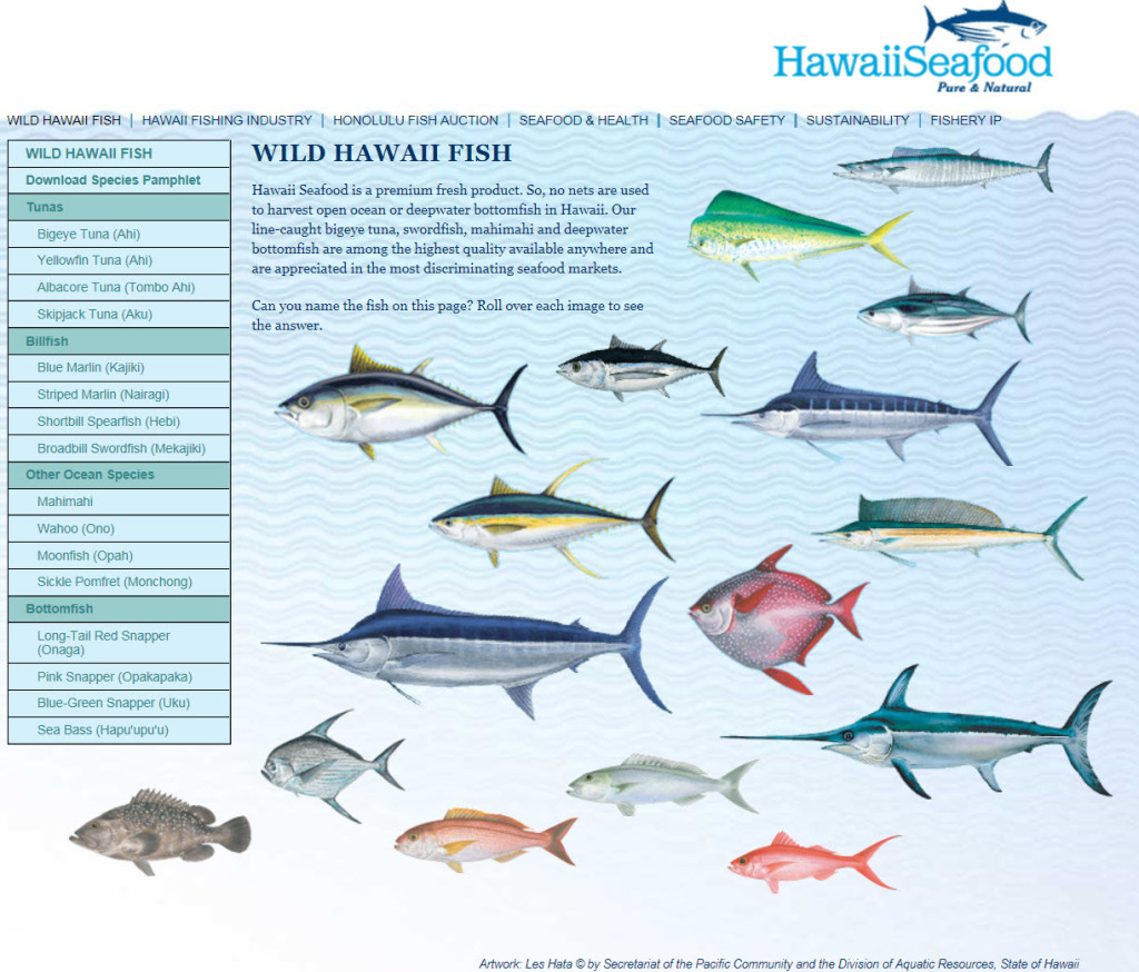 Hawaii Fish